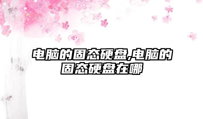 電腦的固態(tài)硬盤(pán),電腦的固態(tài)硬盤(pán)在哪