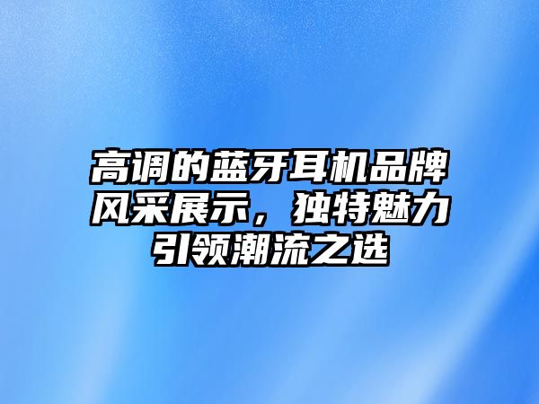 高調(diào)的藍(lán)牙耳機(jī)品牌風(fēng)采展示，獨(dú)特魅力引領(lǐng)潮流之選